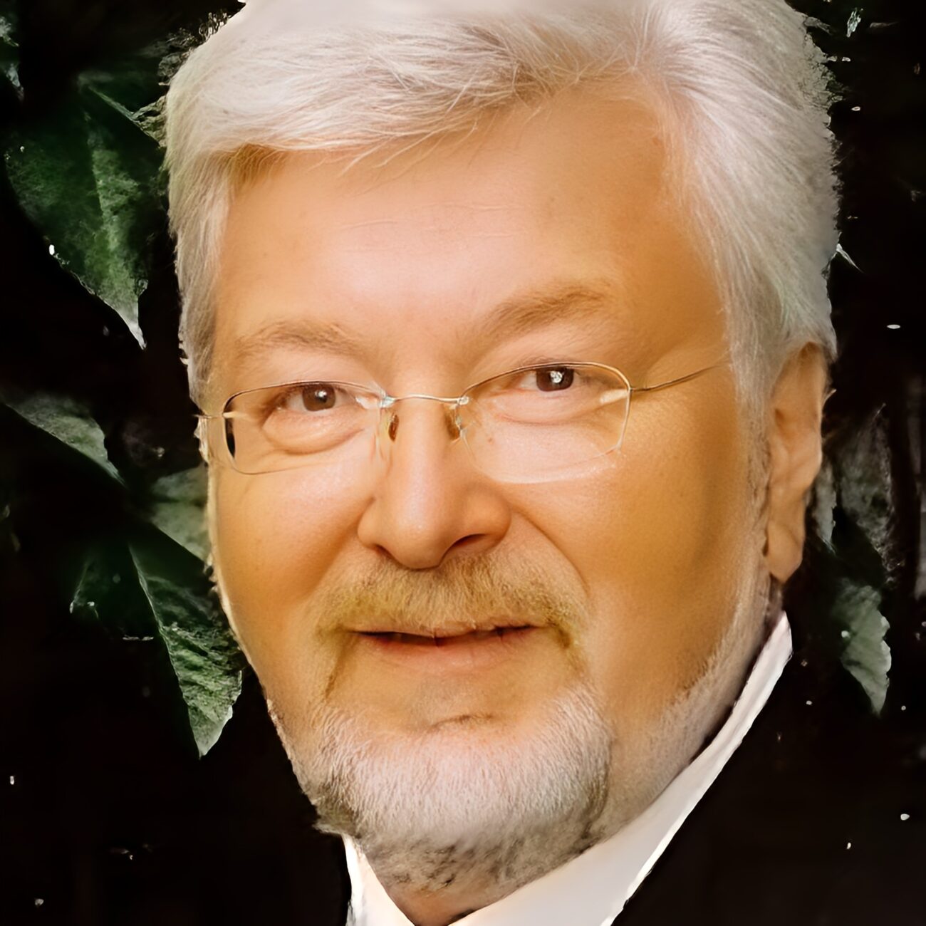 Lee Bartel, Emeritus Professor of Music and Health, University of Toronto ozmo institute Neuroaesthetics investigates how sensory experiences—such as music, sound, visual arts, and architecture—shape brain function, health, and behavior. As an interdisciplinary field, it integrates science—particularly neuroscience—with the arts and technology